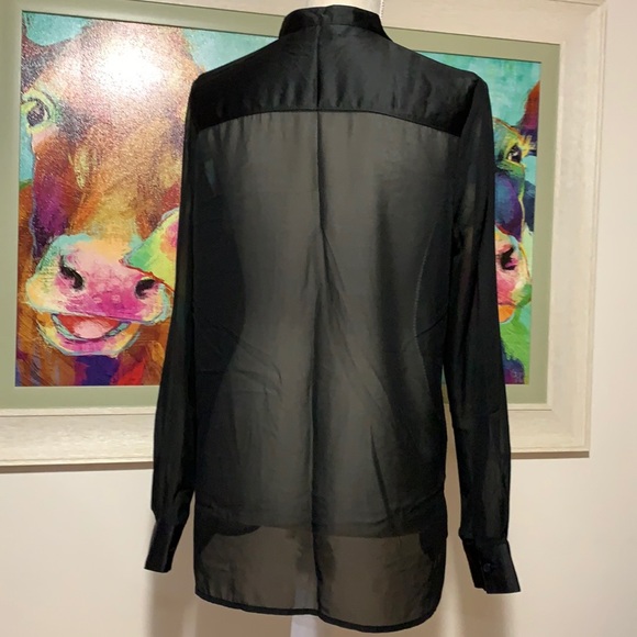 Sheer dress blouse - Picture 5 of 6